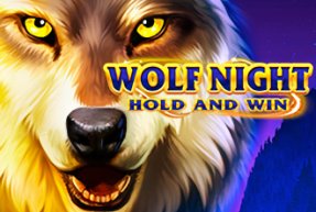 Winz.io Casino